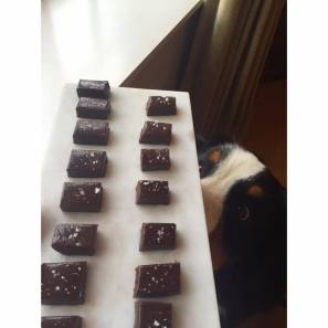 12751960_10205598522587169_500501425_o