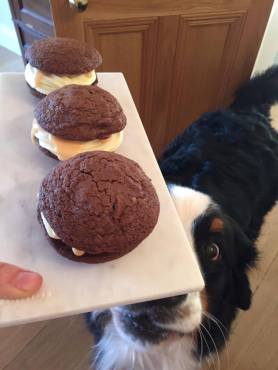 12787389_10205644224489688_1846540241_o