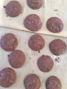 12788657_10205644225249707_1626903925_o