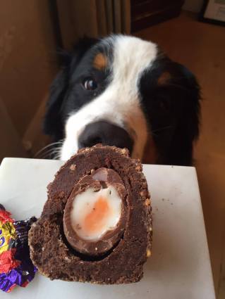 12443339_10205827289626202_68230174_o