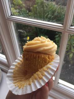 12873423_10205771048580211_521461083_o