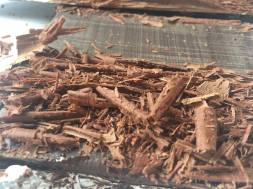 12887485_10205827353867808_48597577_o