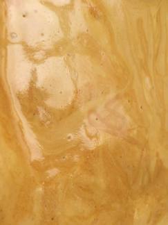 12970095_10205980469535604_41040258_o