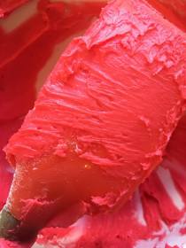 13091651_10206112613159112_798195026_o