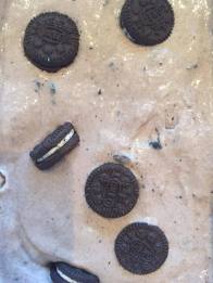 13230724_10206192981408268_264136060_o