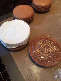 13262624_10206251013179026_307665635_o