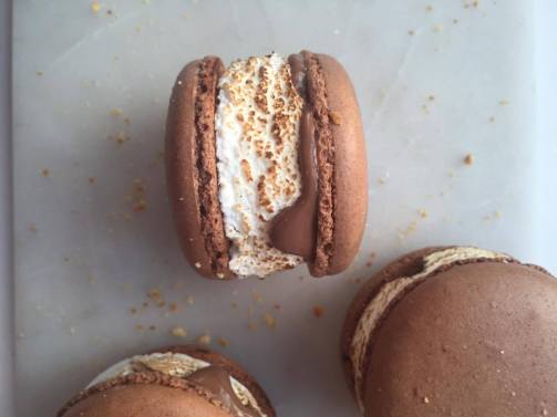 13288310_10206251012699014_1541085278_o