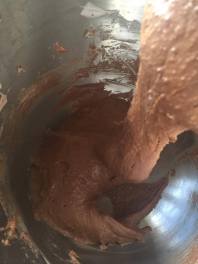 13288771_10206251014379056_744139916_o