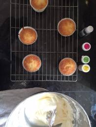 13467293_10206399394528467_375535562_o