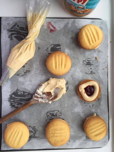 13682634_10206576041704536_1625669200_o