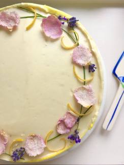 14152129_10206931817118699_2105492738_o