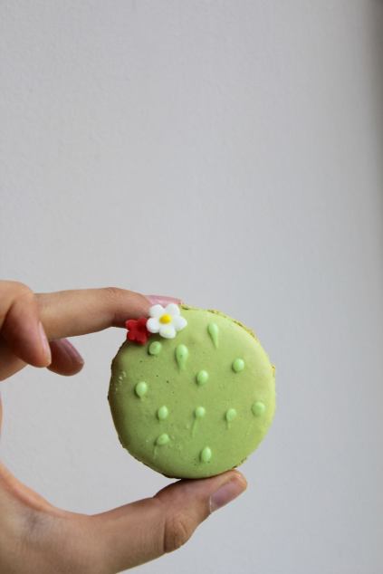 14215250_10206997761287262_587538677_o