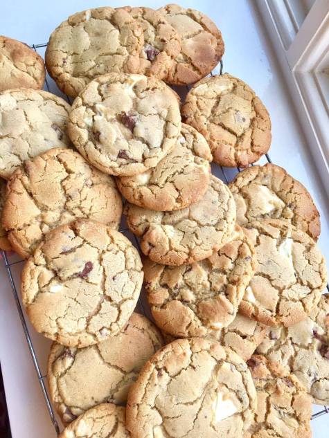 16357655_10208141205632656_1388948964_o