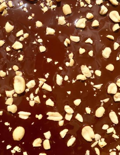 19401460_10209292619657287_1128293735_o