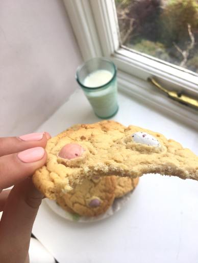 29830902_10211306746369196_282918822_o